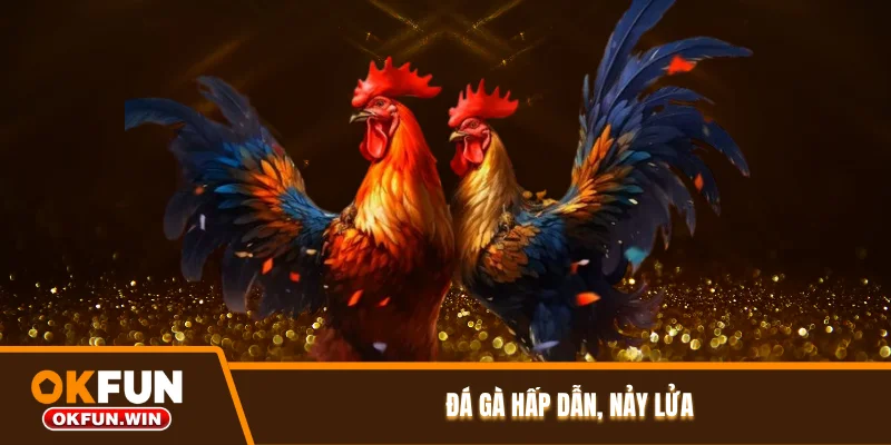 Đá gà hấp dẫn, nảy lửa